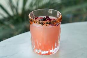 Sheraton Dallas Hotel