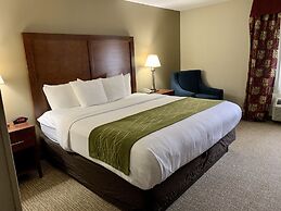 Comfort Inn Columbia - Bush River