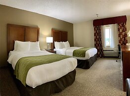 Comfort Inn Columbia - Bush River