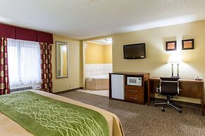 Comfort Inn Columbia - Bush River