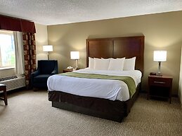 Comfort Inn Columbia - Bush River