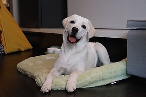 Kimpton Suzhou Bamboo Grove by IHG