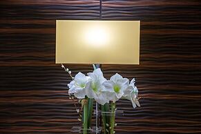 The Originals Boutique, Hôtel Les Trois Roses, Grenoble Meyla