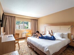 Hotel Lyon Métropole