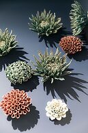 Hotel Kaijoo by HappyCulture