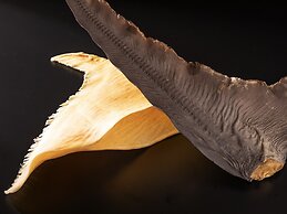 Kumamoto Hotel Castle