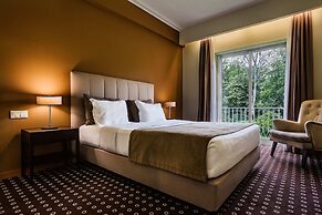 Hotel Grão Vasco Historic Hotel & Spa