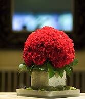 Hotel d'Angleterre Geneva