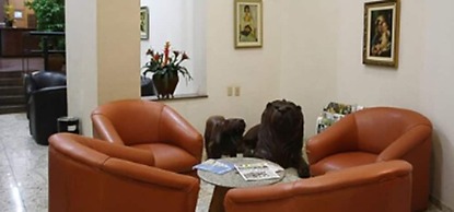 Cheverny Apart Hotel