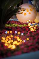 Shangri-La Changchun