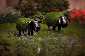 Shangri-La Changchun