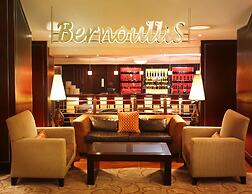 Southern Sun O.R. Tambo International Airport