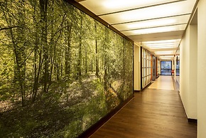 MUNTE - Wellnesshotel am Stadtwald