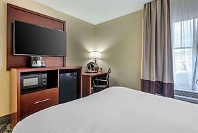 Comfort Inn Asheville East-Blue Ridge Pkwy Access