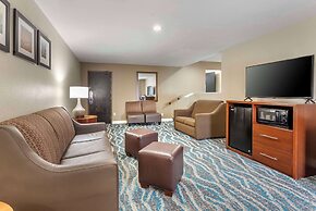 Comfort Inn Asheville East-Blue Ridge Pkwy Access