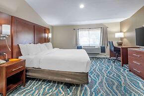 Comfort Inn Asheville East-Blue Ridge Pkwy Access