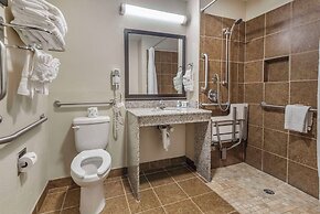 Comfort Inn Asheville East-Blue Ridge Pkwy Access