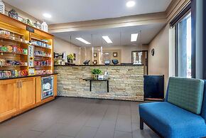 Comfort Inn Asheville East-Blue Ridge Pkwy Access