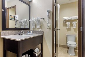 Comfort Inn Asheville East-Blue Ridge Pkwy Access