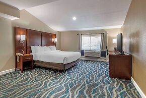 Comfort Inn Asheville East-Blue Ridge Pkwy Access