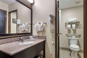 Comfort Inn Asheville East-Blue Ridge Pkwy Access