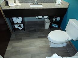 Comfort Suites Tampa - Brandon