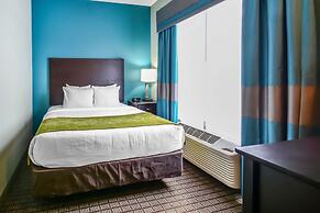 Comfort Suites Tampa - Brandon