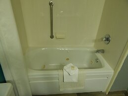 Comfort Suites Tampa - Brandon