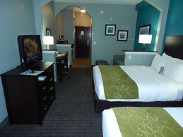 Comfort Suites Tampa - Brandon