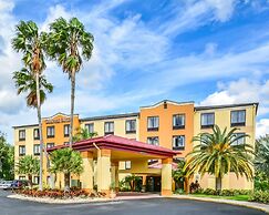 Comfort Suites Tampa - Brandon