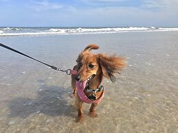 One Ocean Resort and Spa