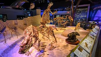 Holiday Inn Express Tallahassee - I-10 E by IHG