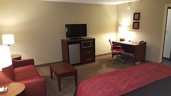 Comfort Inn Mayfield Heights Cleveland East