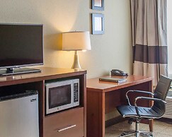 Comfort Inn Mayfield Heights Cleveland East