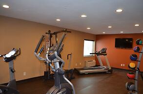 Comfort Inn Mayfield Heights Cleveland East