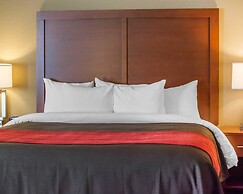 Comfort Inn Mayfield Heights Cleveland East