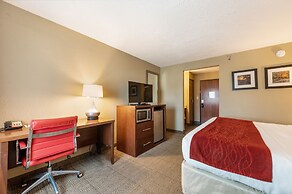 Comfort Inn Mayfield Heights Cleveland East