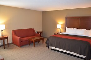 Comfort Inn Mayfield Heights Cleveland East