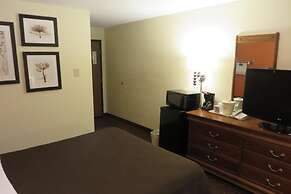 AmericInn by Wyndham Forest Lake