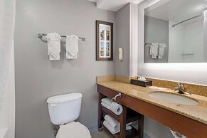Comfort Suites near Birkdale Village- Huntersville