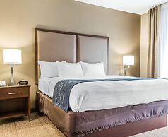 Comfort Suites at Isle Of Palms Connector