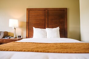 Comfort Inn And Suites Custer
