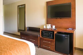 Comfort Inn And Suites Custer