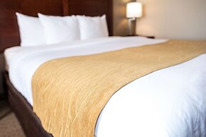 Comfort Inn And Suites Custer
