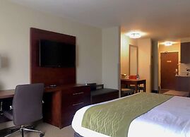 Comfort Inn And Suites Custer