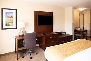 Comfort Inn And Suites Custer