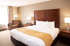 Comfort Inn And Suites Custer