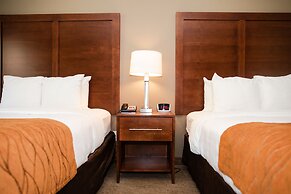 Comfort Inn And Suites Custer