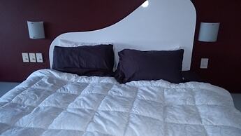 Diamond Island Resort & Penguin viewing