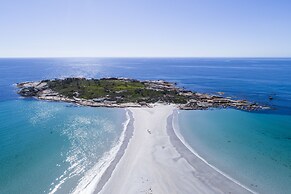Diamond Island Resort & Penguin viewing